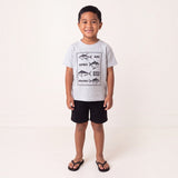 Fish Chart light Grey tee - Sweet Sweet Honey Hawaii