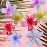 Hair Pin | Plumeria - Sweet Sweet Honey Hawaii